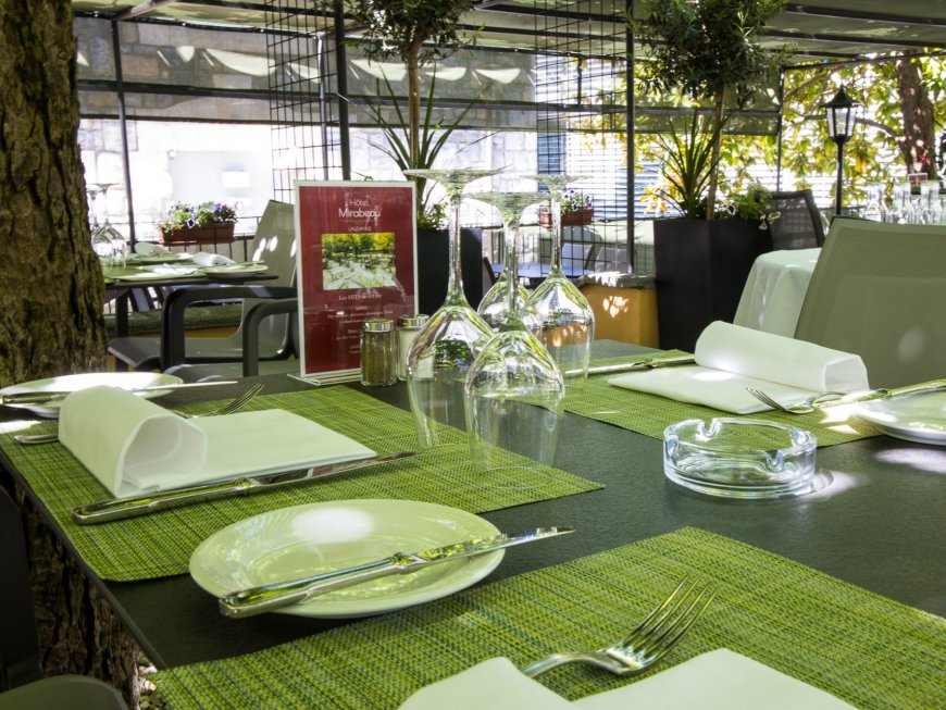 Les feuilles des marronniers sur la terrasse